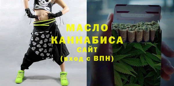 дживик Бородино