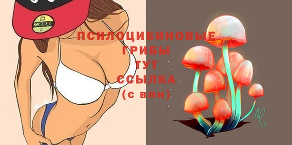 молекула духа Бугульма