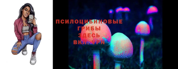 дживик Бородино