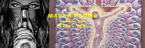 дживик Бородино
