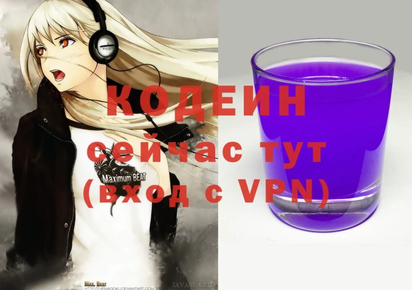 дживик Бородино