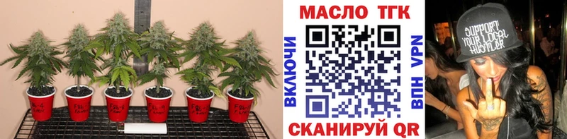 хочу Камышлов ТГК Wax