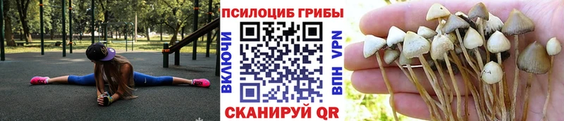 Галлюциногенные грибы MAGIC MUSHROOMS  Камышлов 