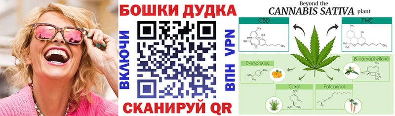 где купить наркоту  Камышлов  Каннабис тримм 